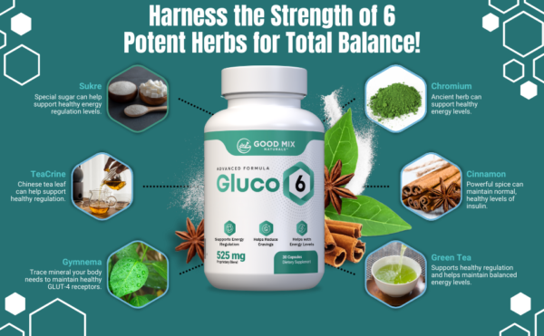 Gluco6 - Image 3